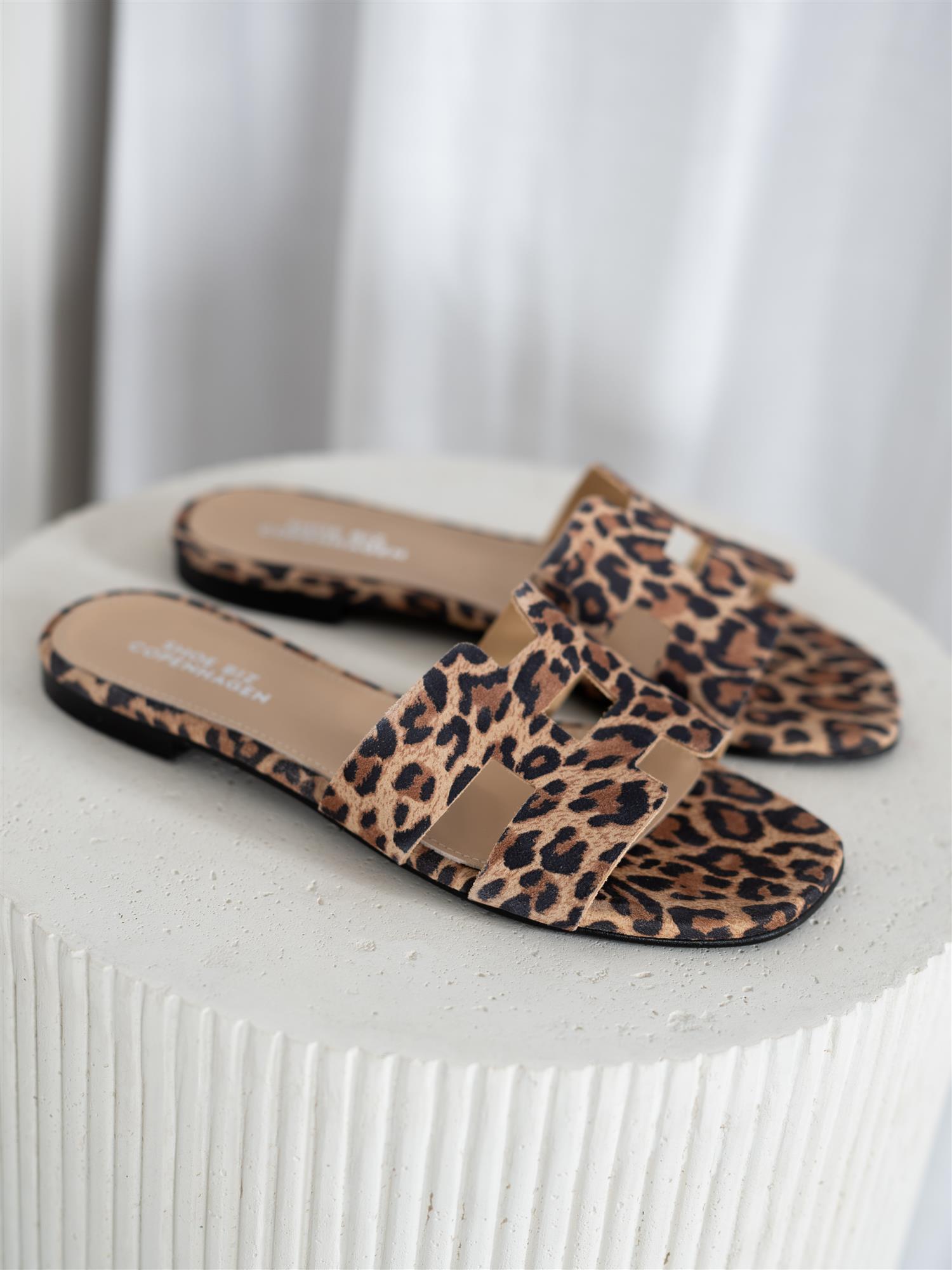 Seattle Leopard