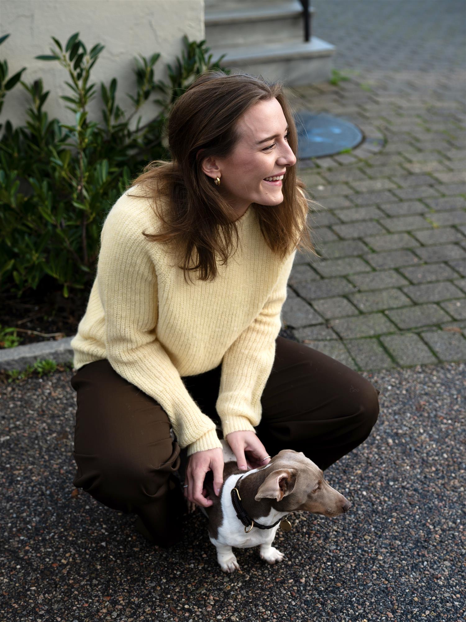 Lexington Alpaca Blend Ragland Sweater Yellow