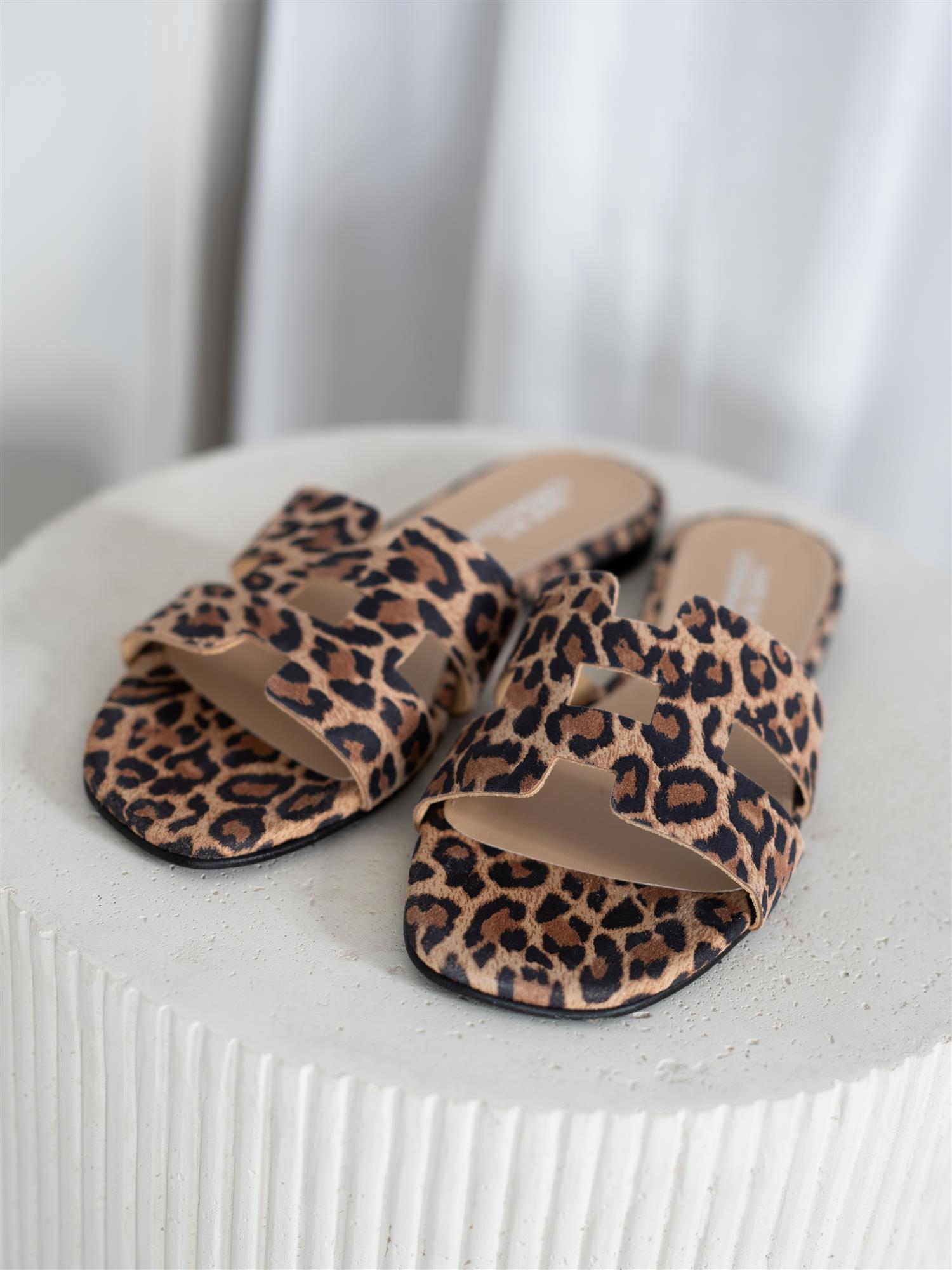 Seattle Leopard