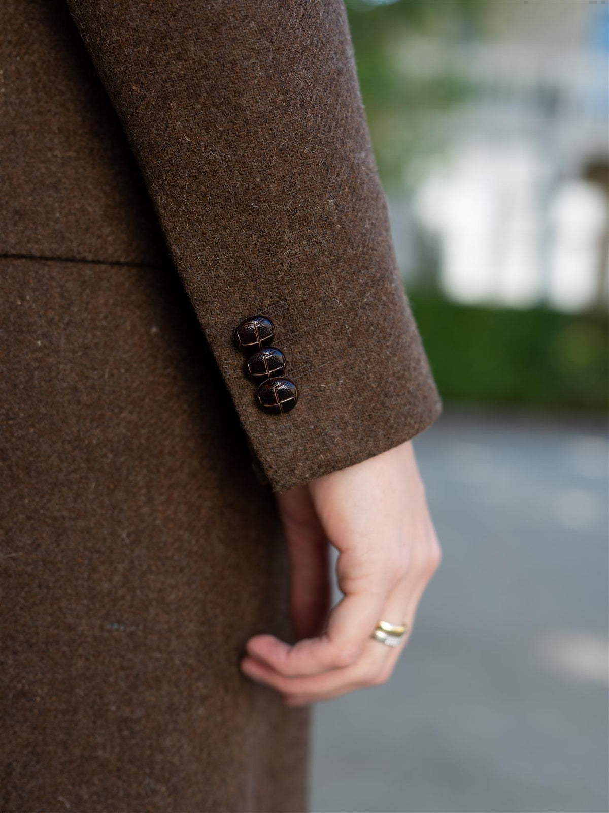 Shetland Remi B Brown