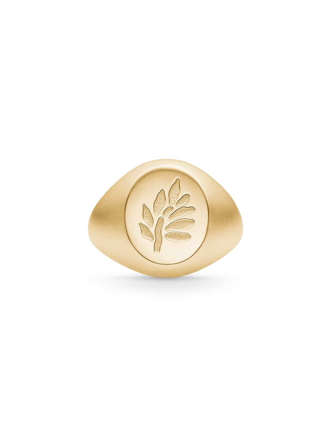 Julie Sandlau Tree of Life Signet Ring