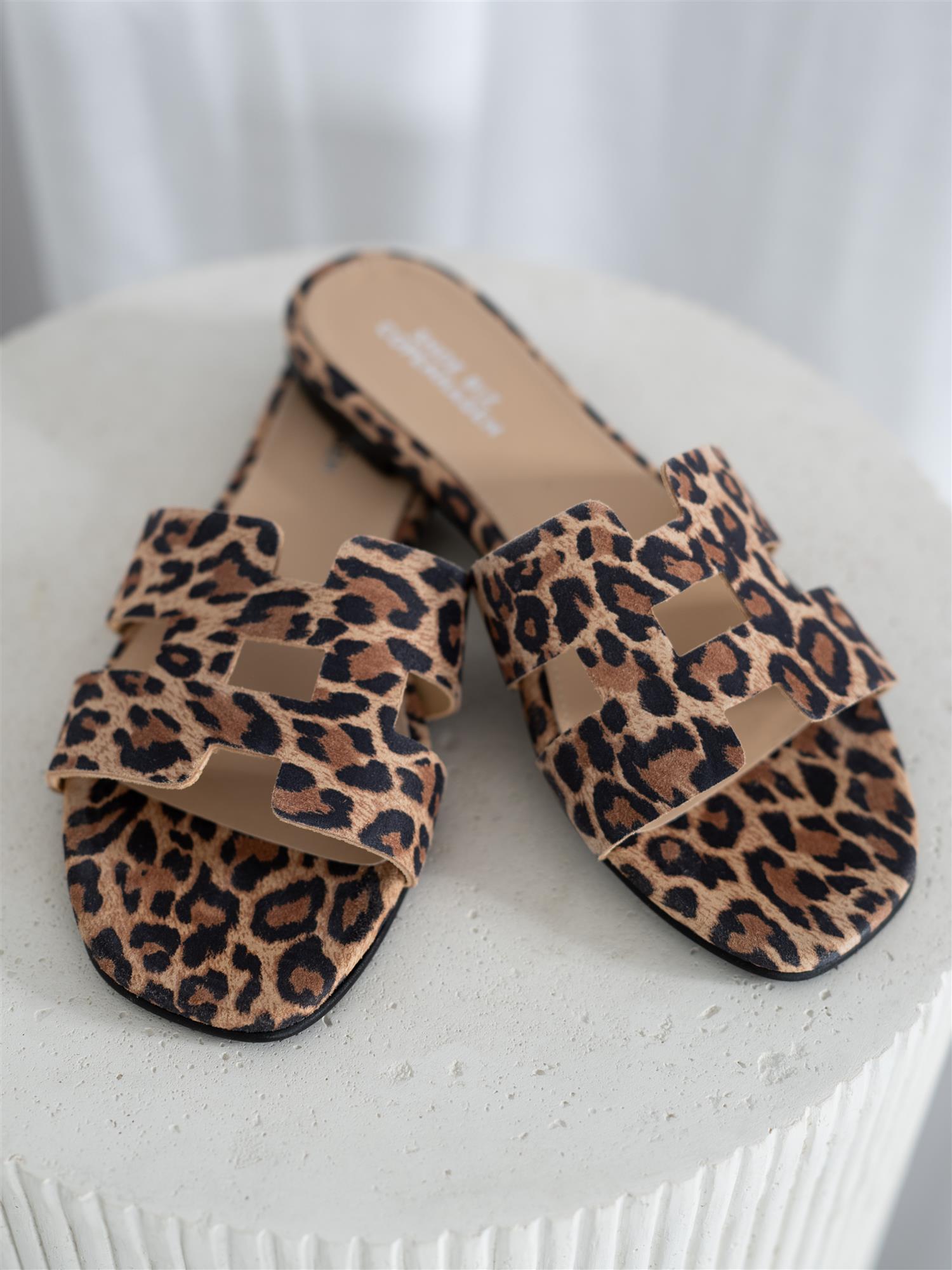 Seattle Leopard