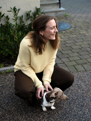 Lexington Alpaca Blend Ragland Sweater Yellow