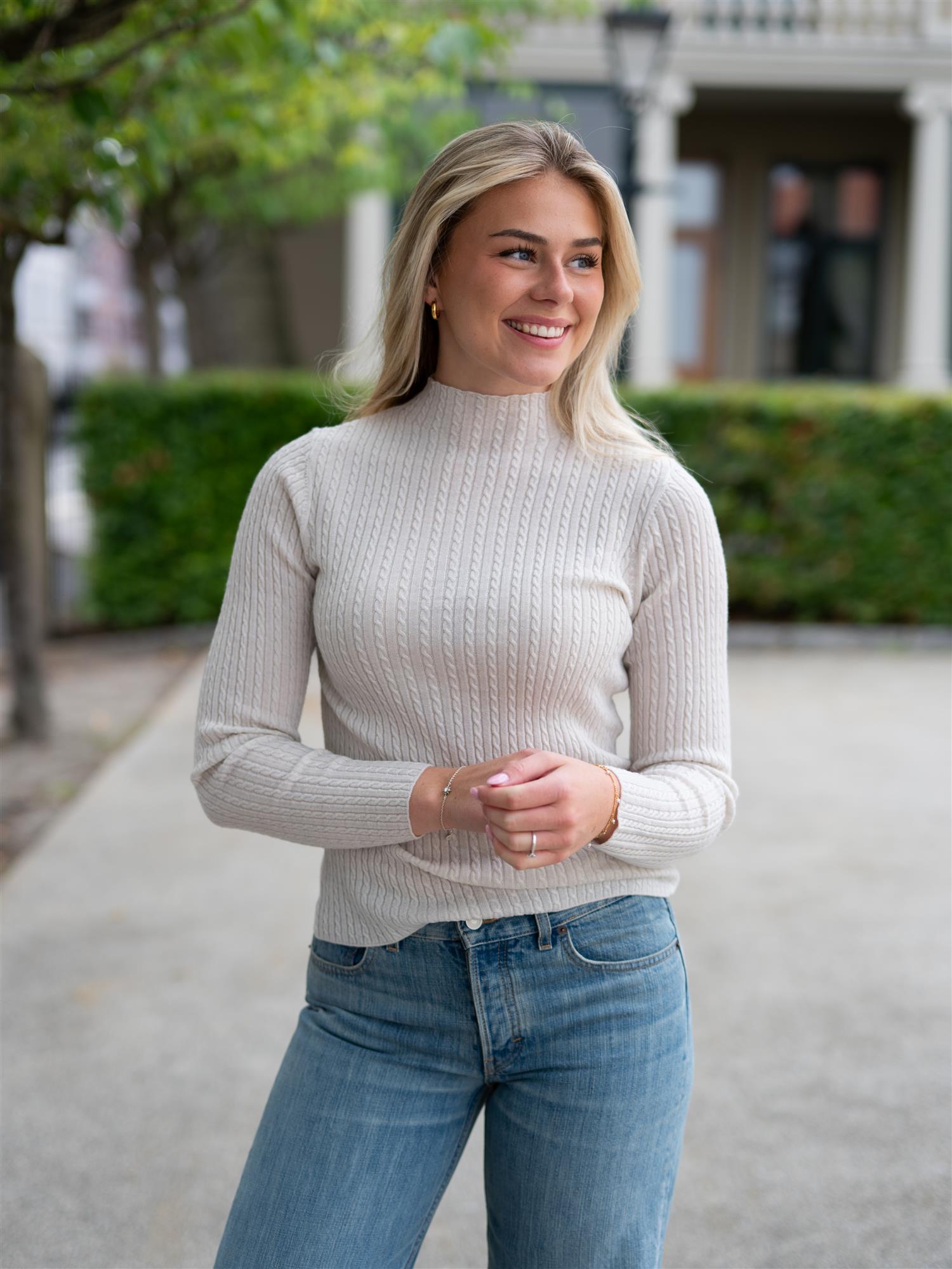 Bree Turtle Neck