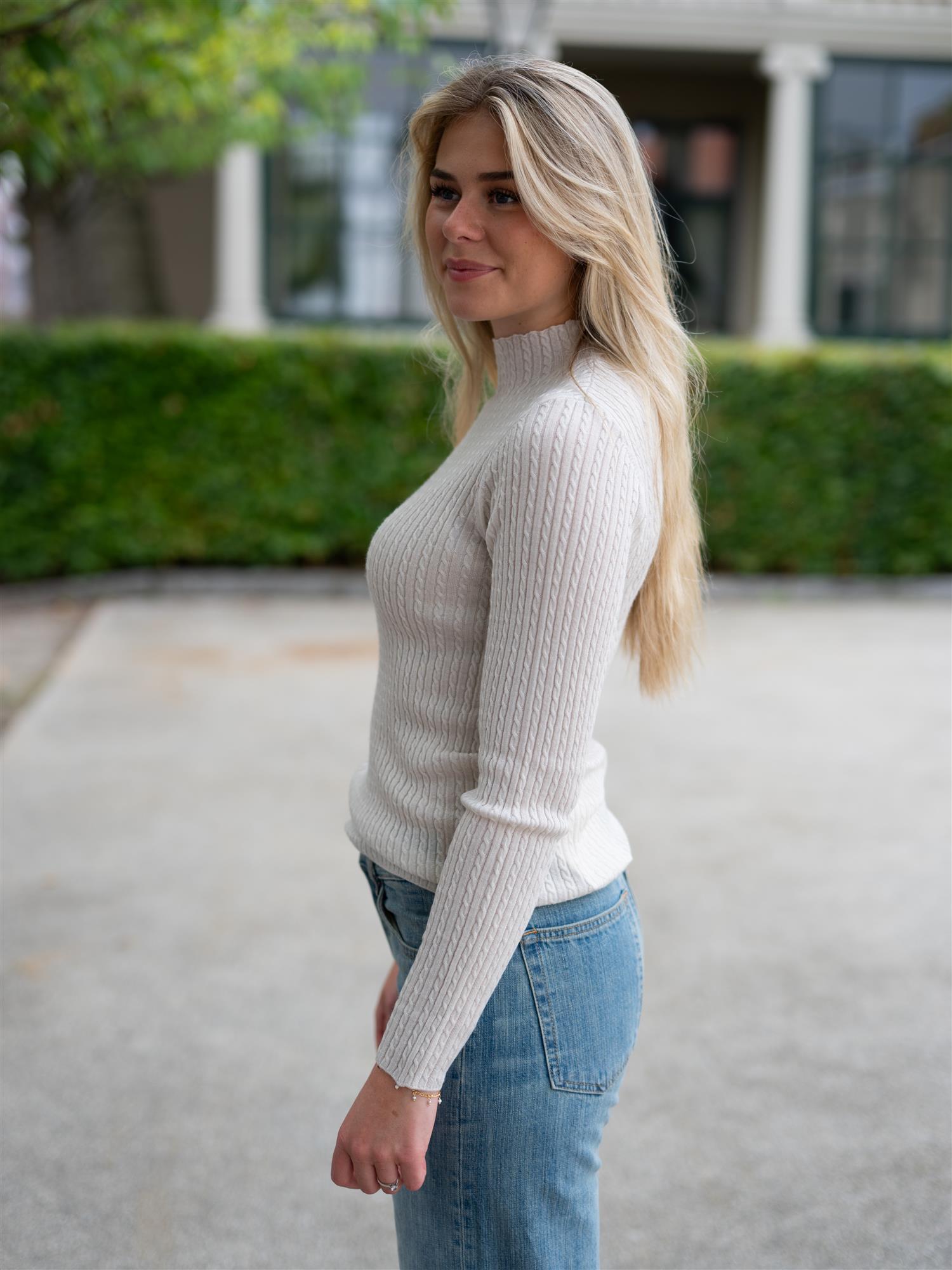 Bree Turtle Neck