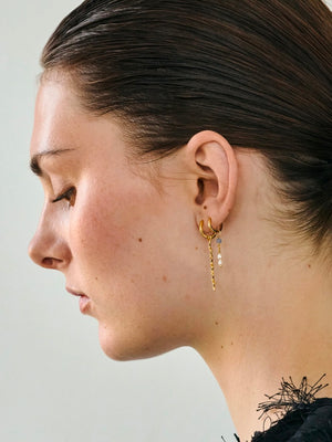 Enamel Hydrus Hoops