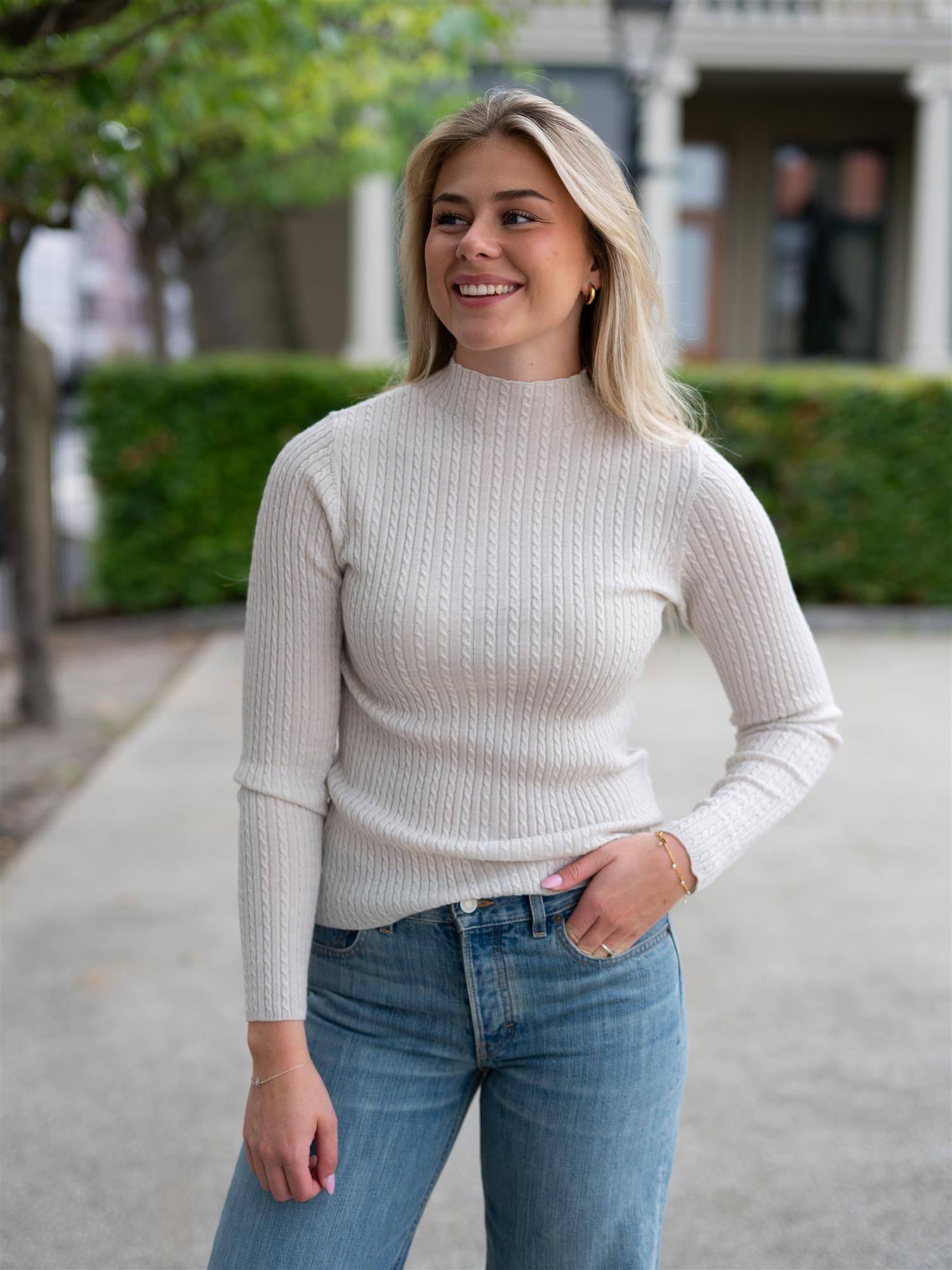 Bree Turtle Neck