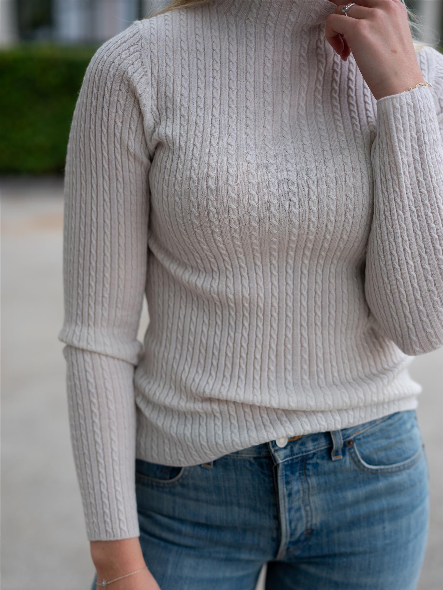 Bree Turtle Neck