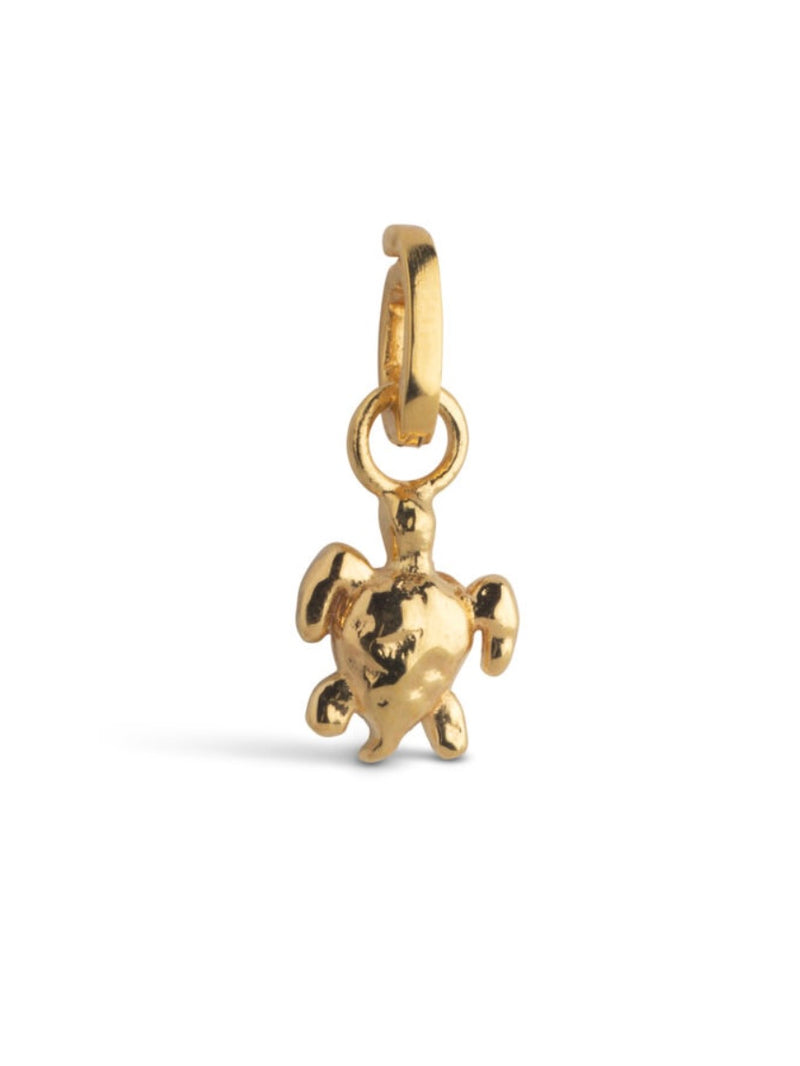 Enamel Calm Turtle Charm