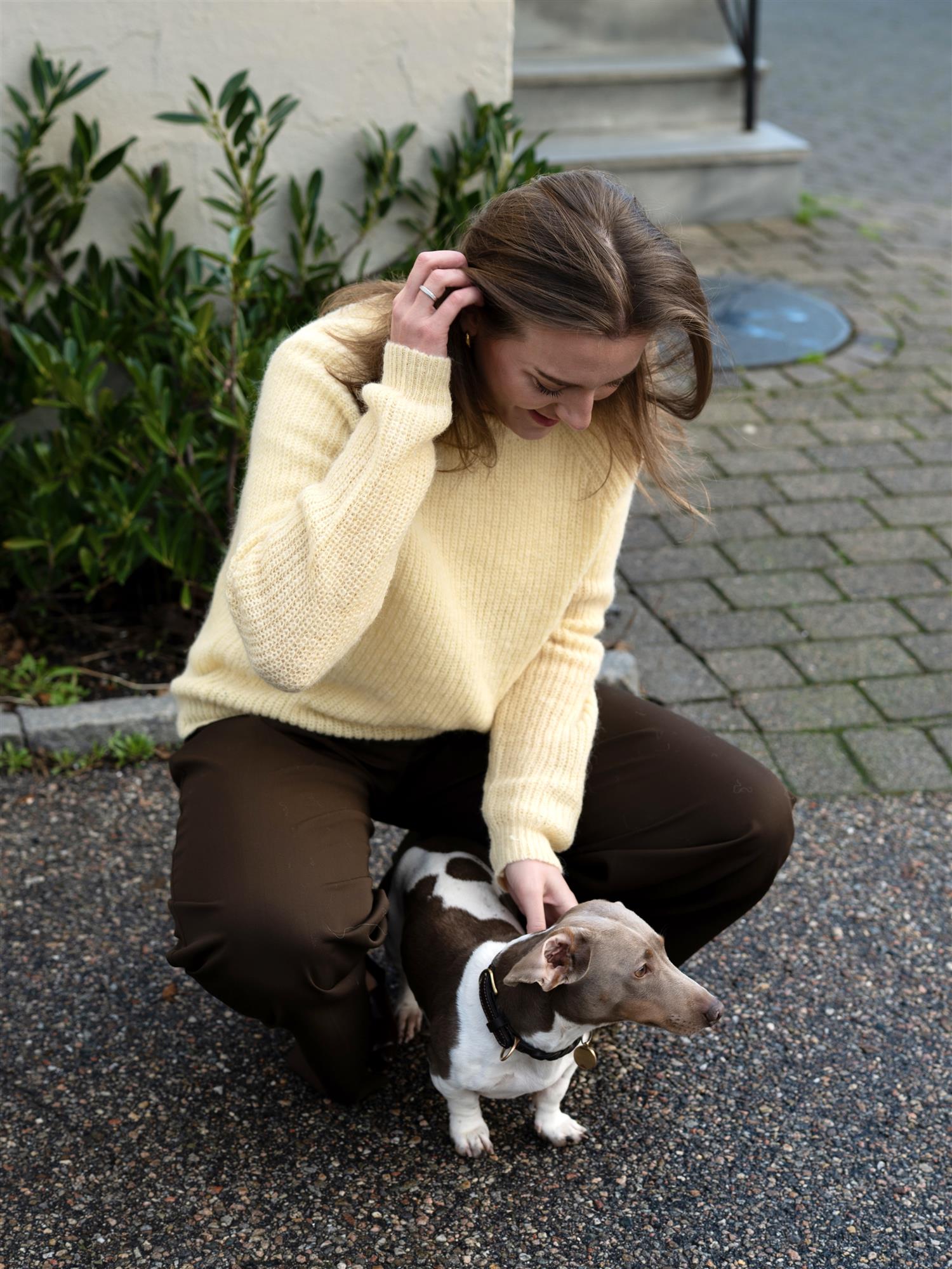 Lexington Alpaca Blend Ragland Sweater Yellow