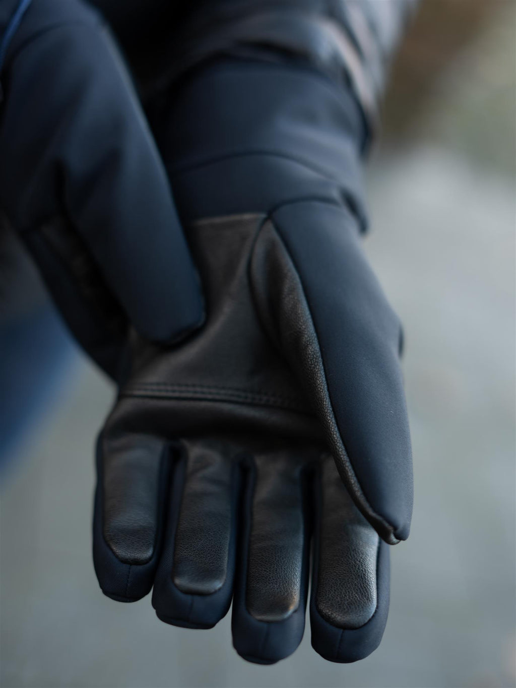 Fusalp Glacier W Glove Blue