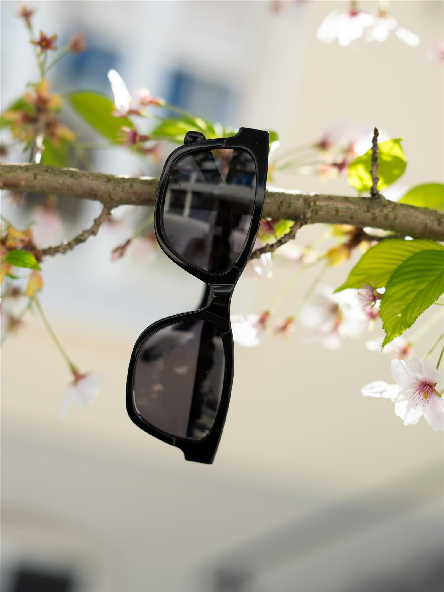 Corlin Jimi Black Black