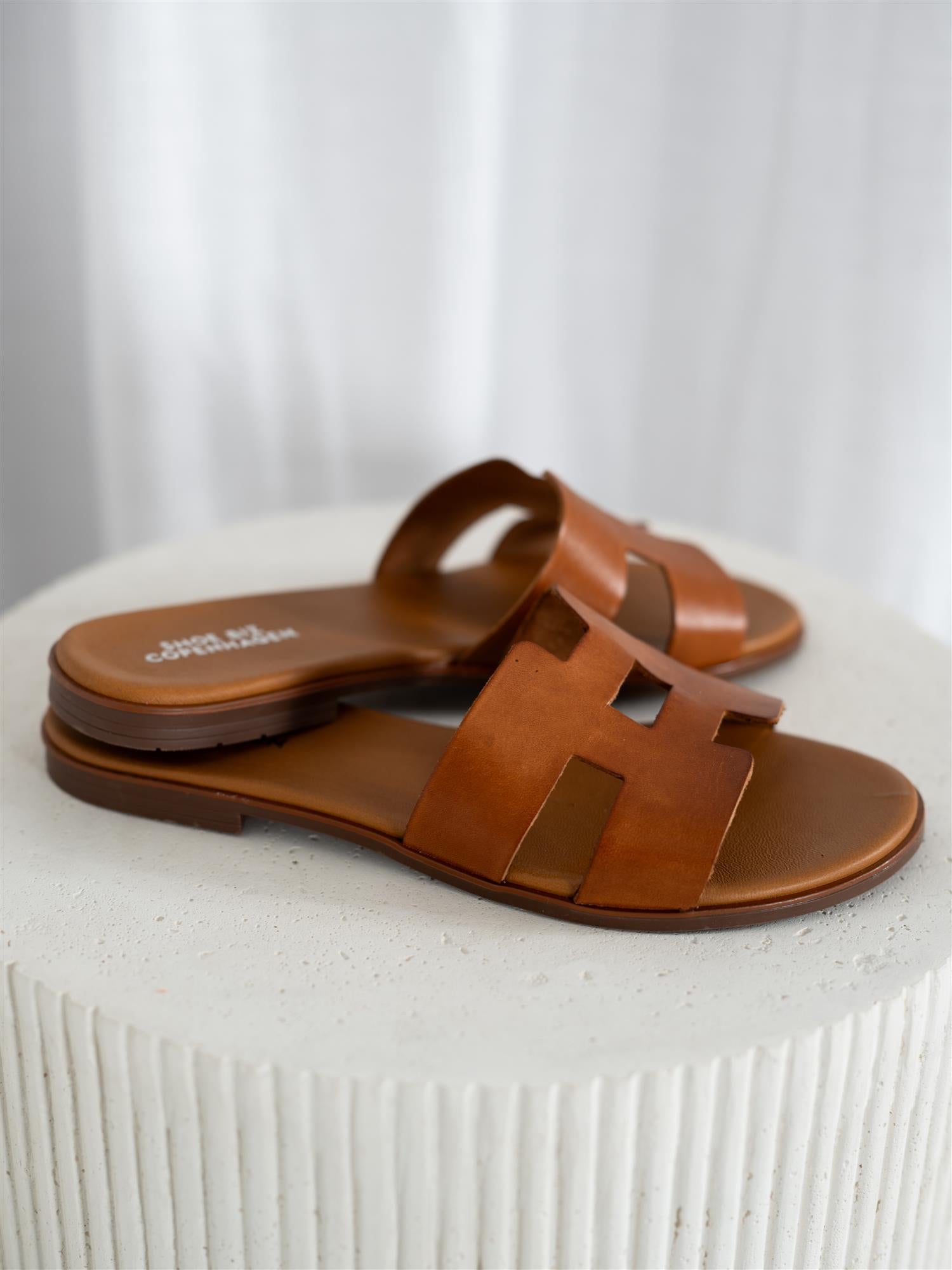 Seattle Brown