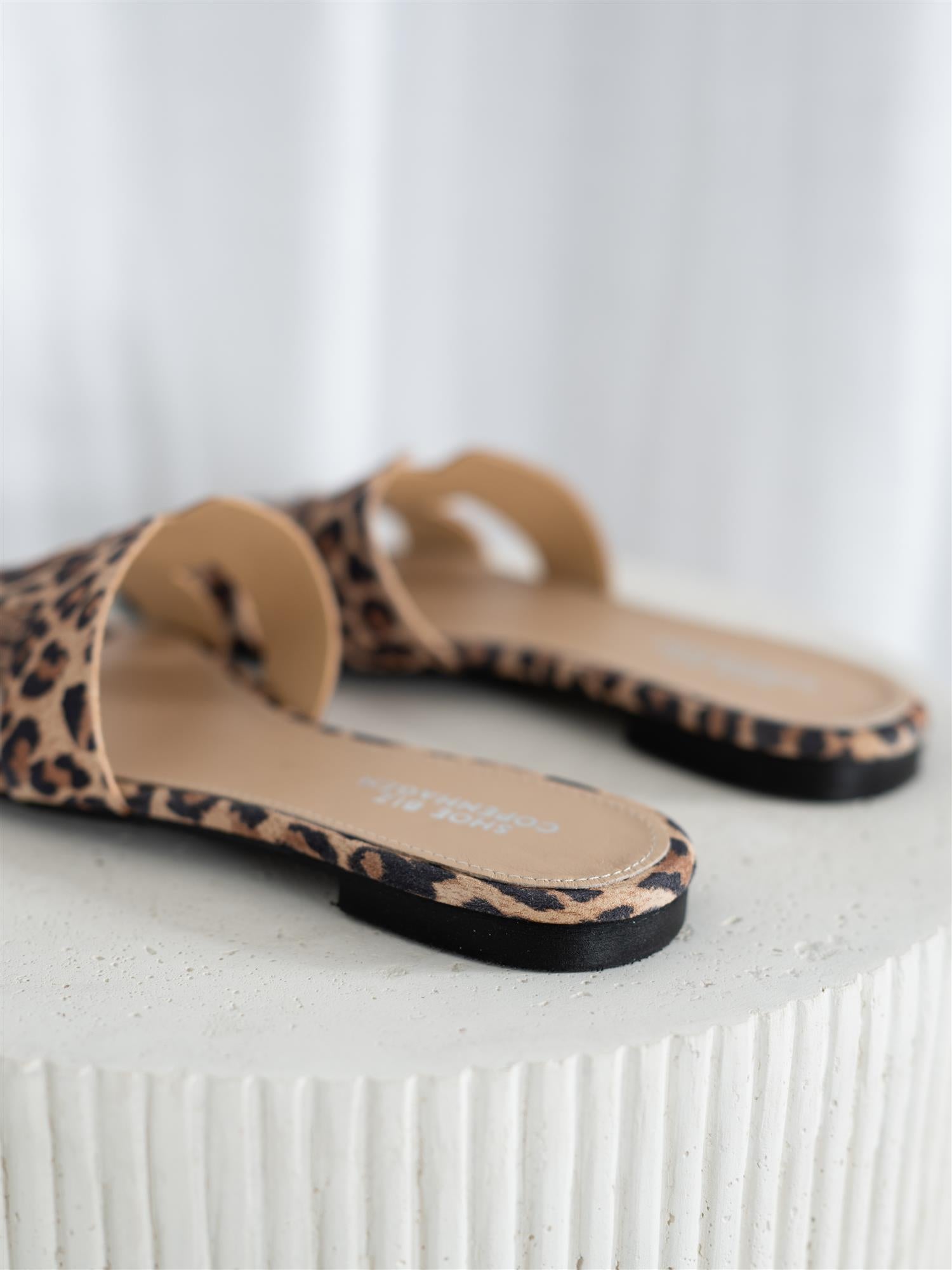 Seattle Leopard