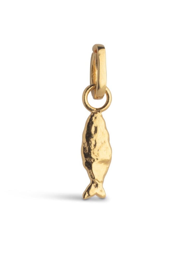 Enamel Flowing Fish Charm