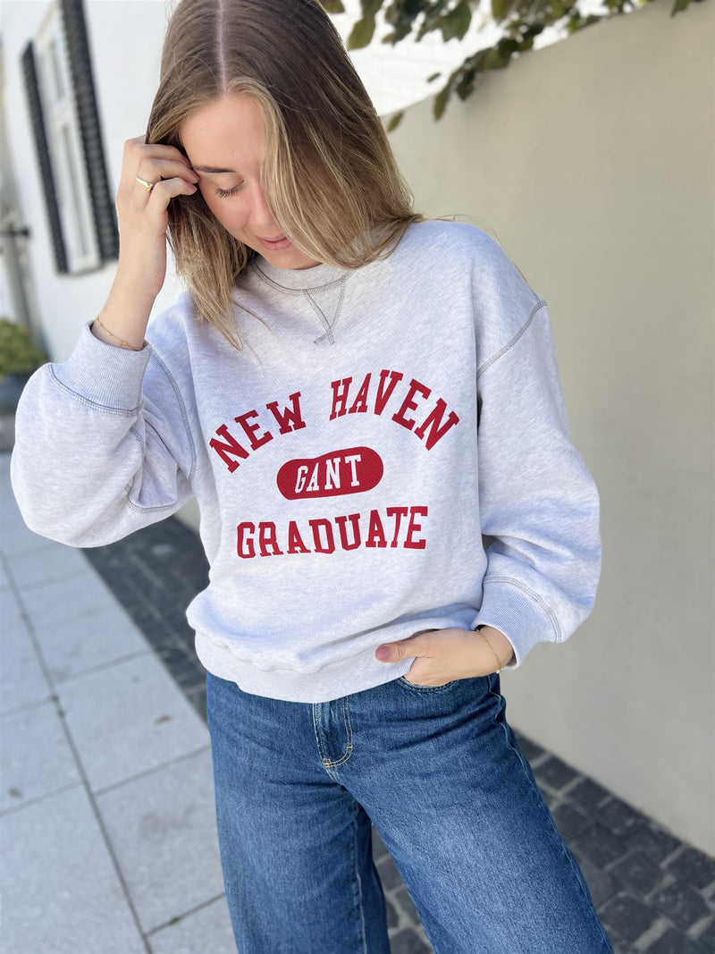 Gant Graphic C-Neck Sweat Pale Grey Melange