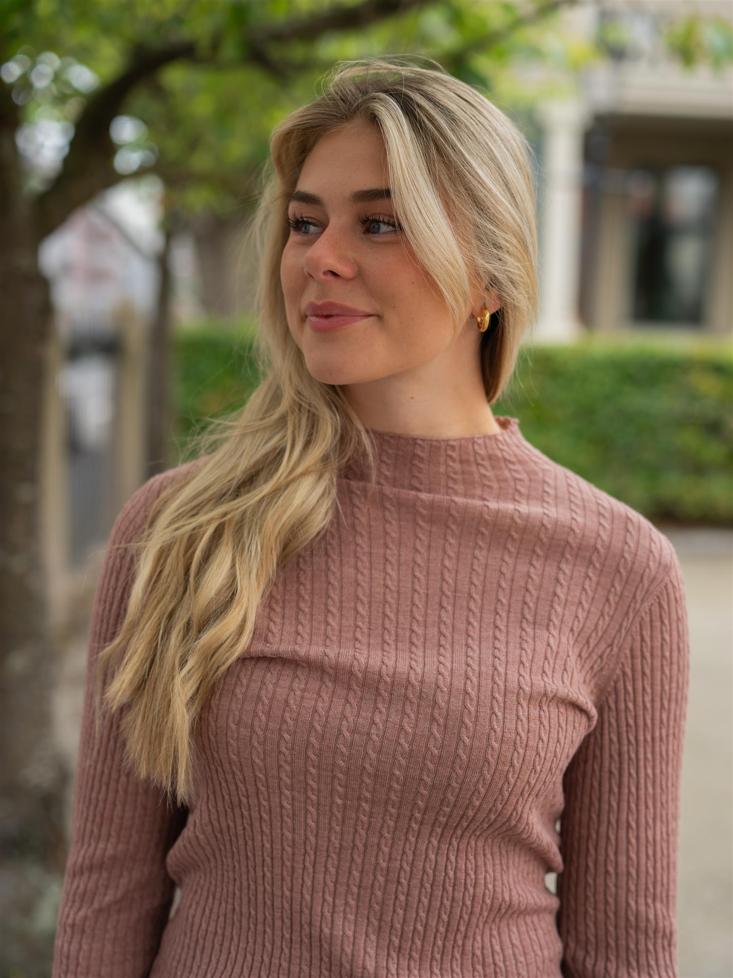 Bree Turtle Neck Ash Rose Melange