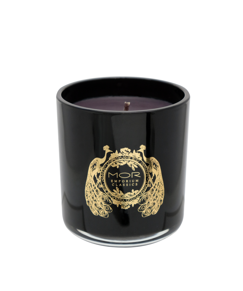 MOR - Candle Snow Gardenia
