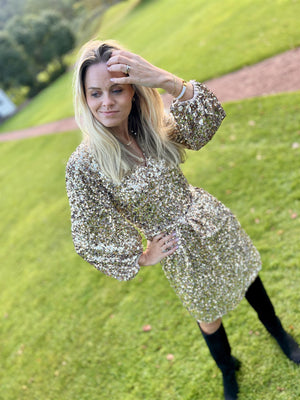 Camilla Pihl Bianca Sequin Dress Champagne