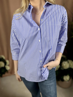 Max Mara Venus