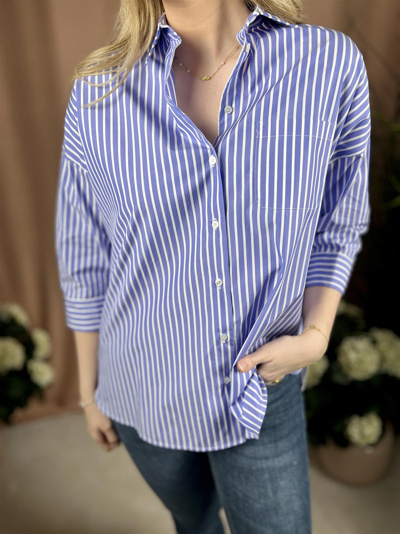 Max Mara Venus