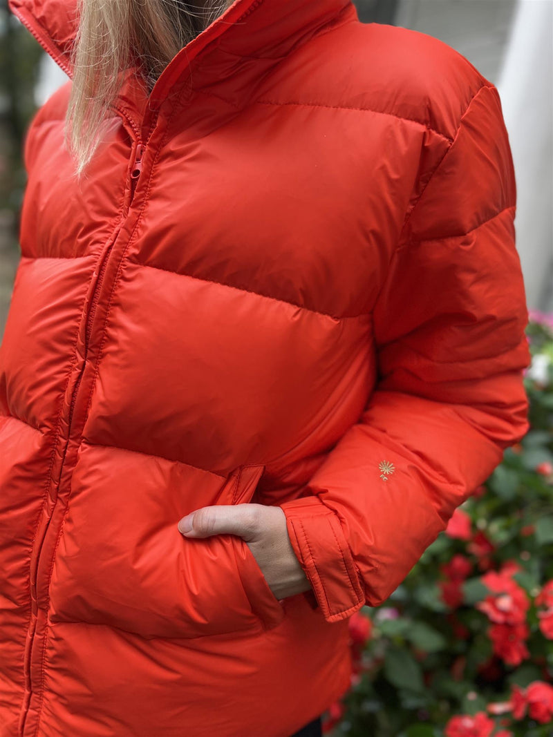 Fleischer Couture Atlas Down Jacket